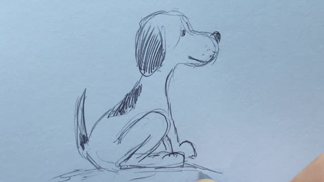 The puppy sketch