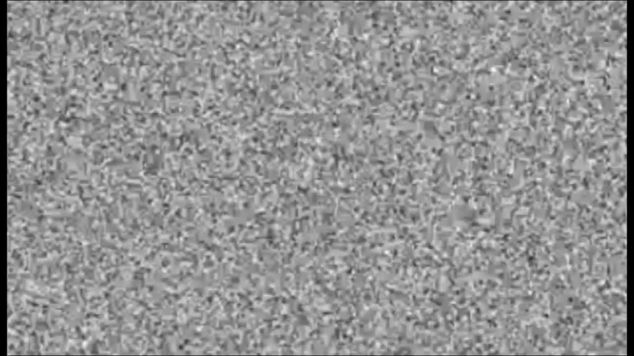 11 Minutes of Stale Memes