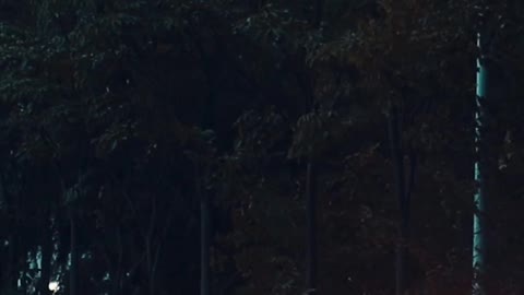 The wind before rain