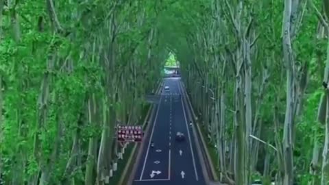 Most beautiful road in the world 🤩😍