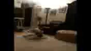A little act bat