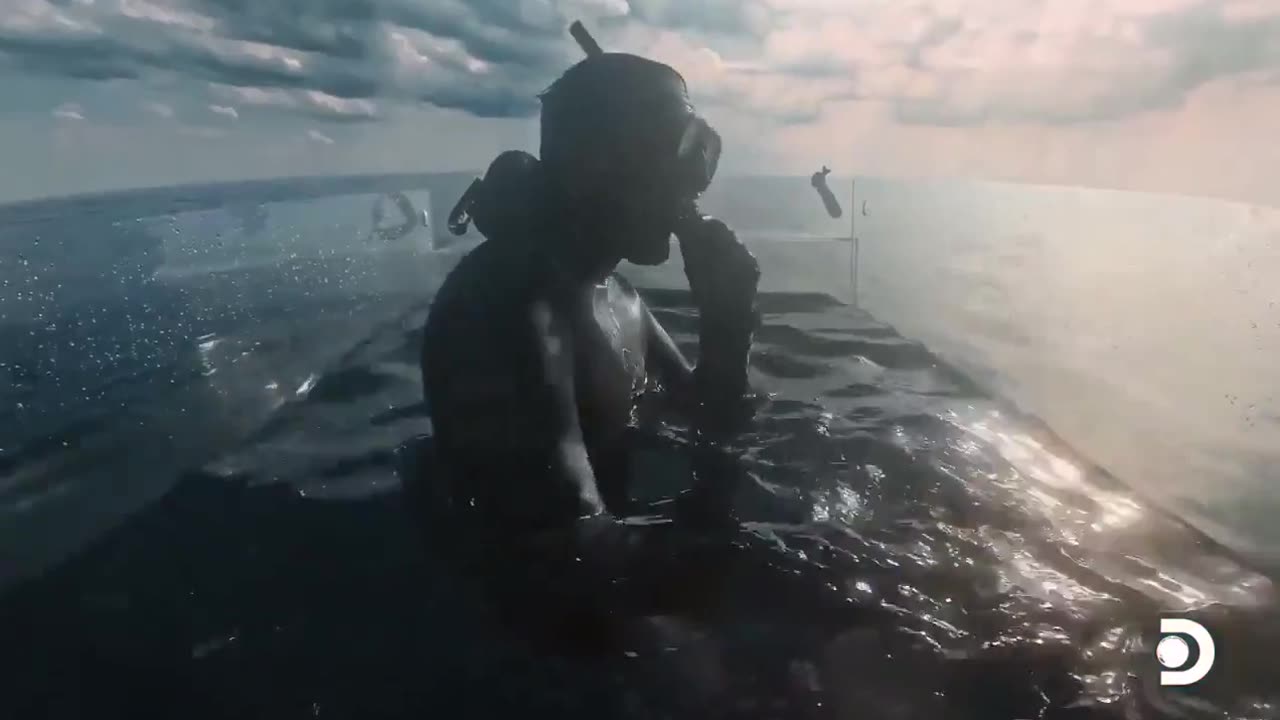 Diver Near Miss