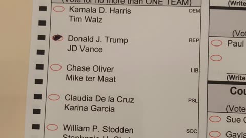 I voted for Trump