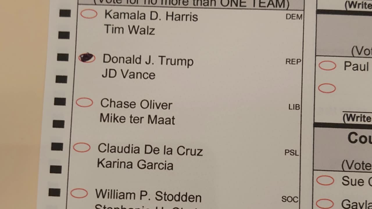 I voted for Trump