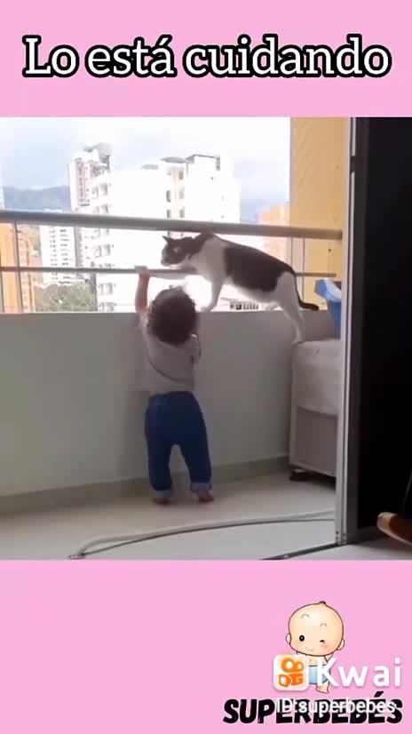 Adorable cat protected the baby