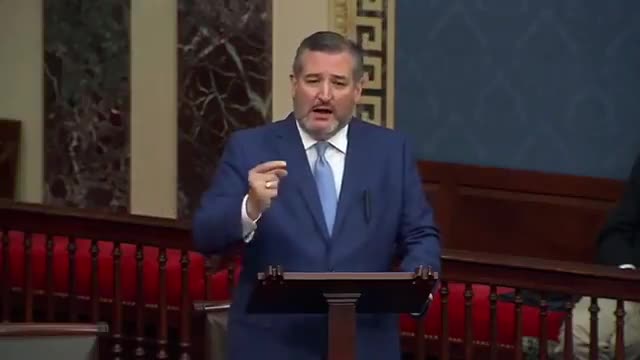 Sen. Ted Cruz calls out hypocrite Democrats on Biden's border crisis!