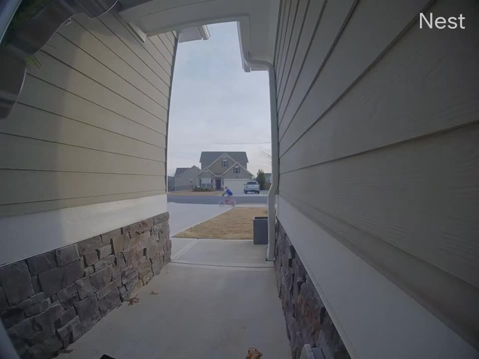 Ding Dong Ditcher Licks Doorbell Camera