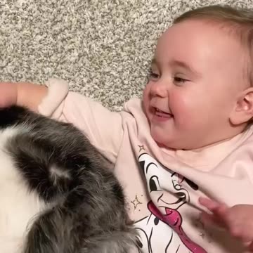 Funny pets having Priceless moments with cats&kittens, Dogs, Animals