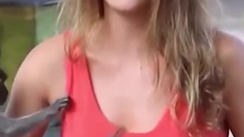 Curious monkeys