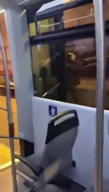 North African asylum seeker in Switzerland who spits on women is educated by