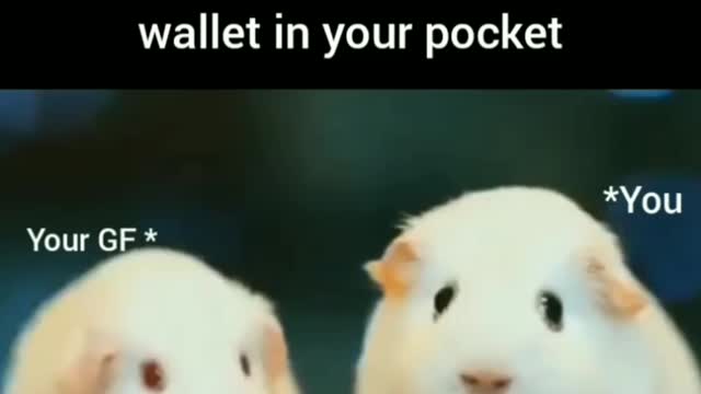 When you forgot your wallet