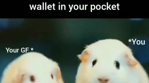 When you forgot your wallet