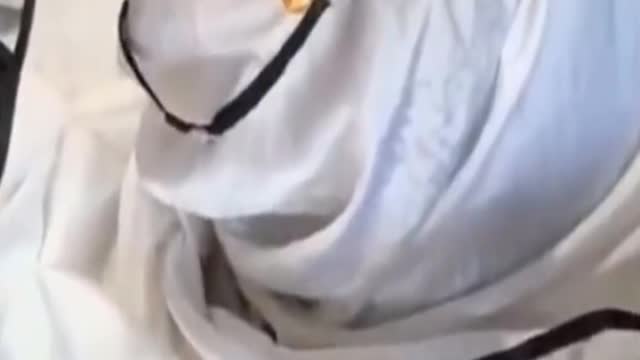 Funny Cat and Dog, Cute Cate and Dog, Video To Make You Laugh (FUNNY) 263 #Shorts