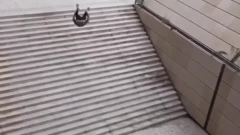 OMG! Best parkour ever over the stairs