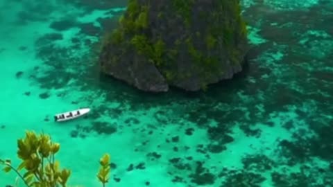 Nature Symphony ( Nature is very peaceful )