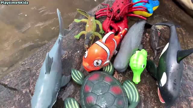 Sea Animal Toys This Summer at the Shore