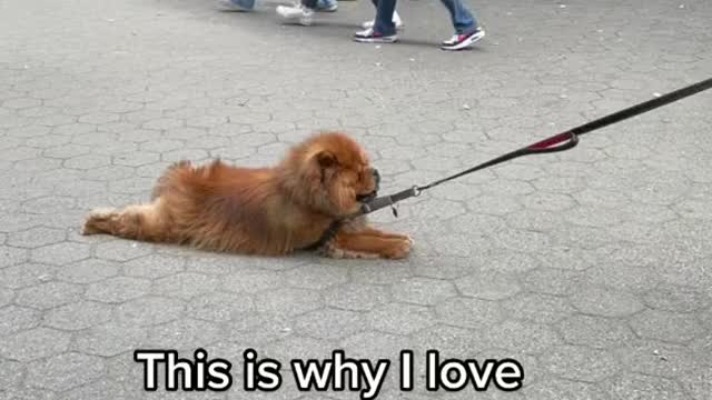 I don't want to go home 😭😭😭😅