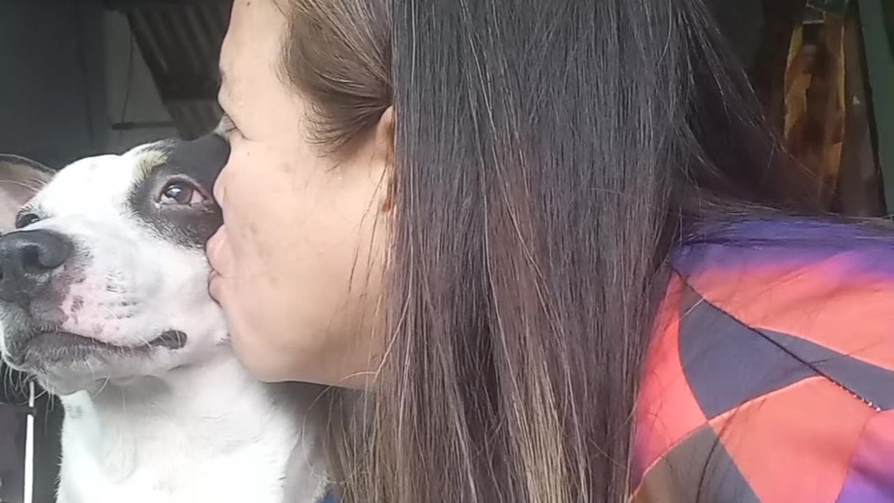 Freez infront of your dog's see their reaction.🤣