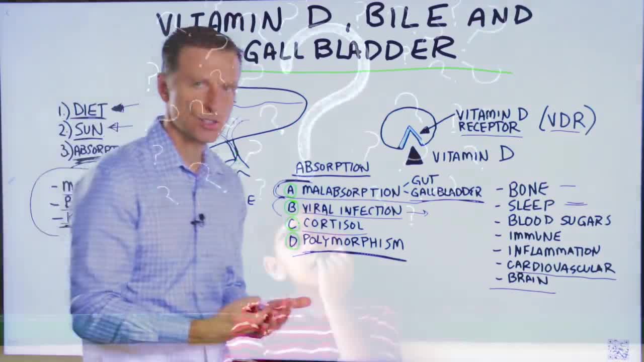 DrBerg-Vitamin D-Bile-And Your Gallbladder