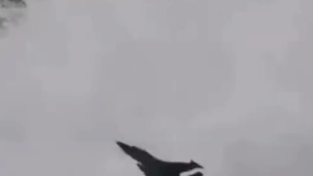Russian Jets Spotted