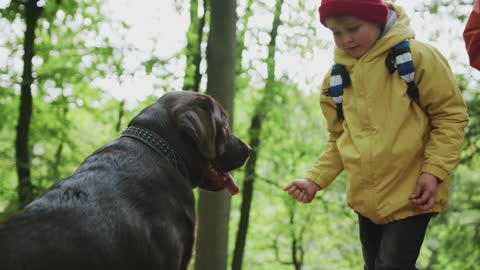 A man and a dog