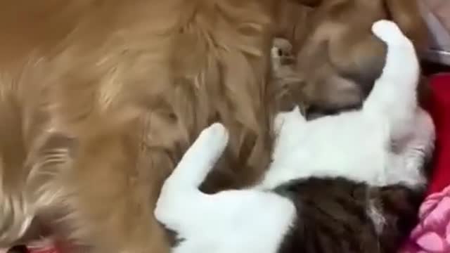 They Must Be Good Friends