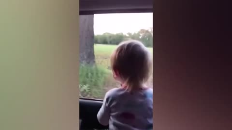 Naughty Animals Trolling Babies