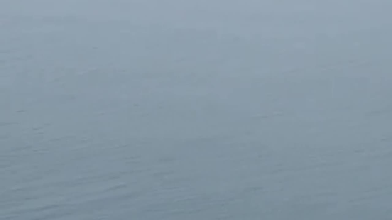 Helicopter