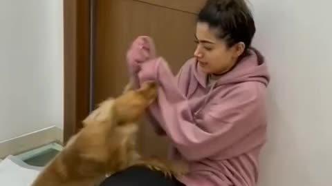 Rashmika Mandana🤣Funny Dog Videos 2021🤣 🐶 It's time to LAUGH with Dog's life