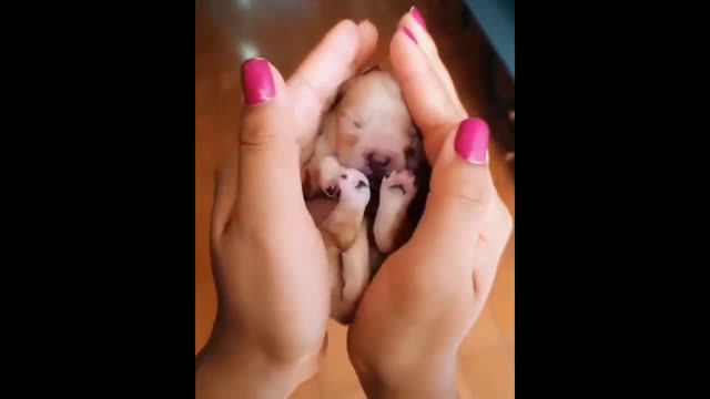 Handful of love