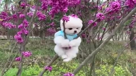 Cute pets!!
