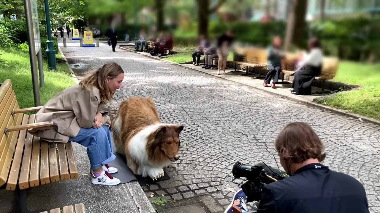 Dog and people's reactions to seeing a realistic dog costume