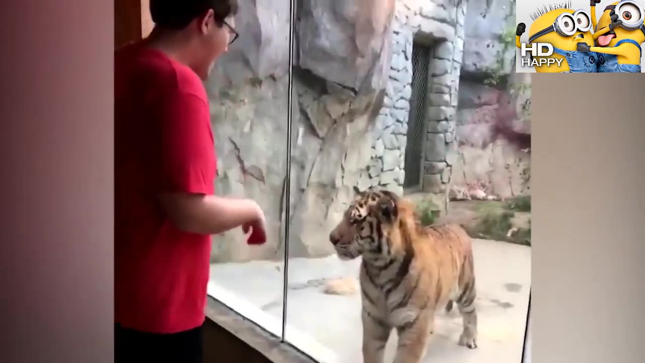 Best Funny Videos Compilation 🤣 Pranks - Amazing Stunts - By Funny Home 🍿 #23