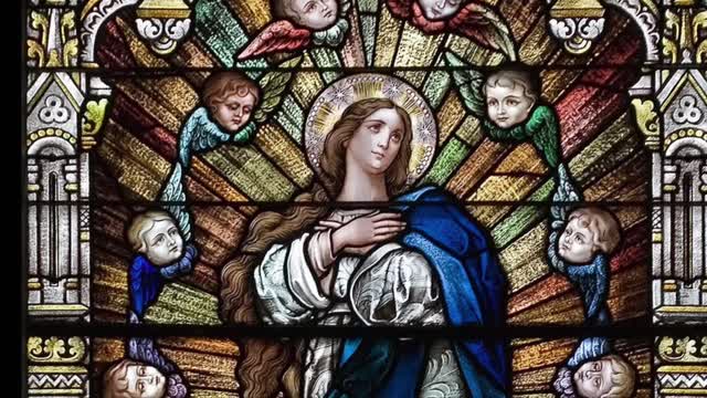 Solemnity of the Immaculate Conception Homily Fr. Michael Goodyear