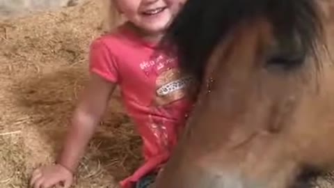 HORSE SLEEPS ON GIRL