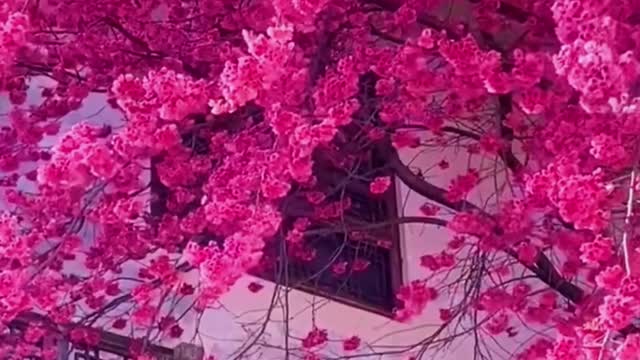 Really beautiful and fresh