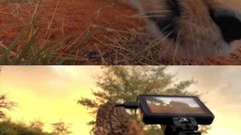 Listen to his voice 😍