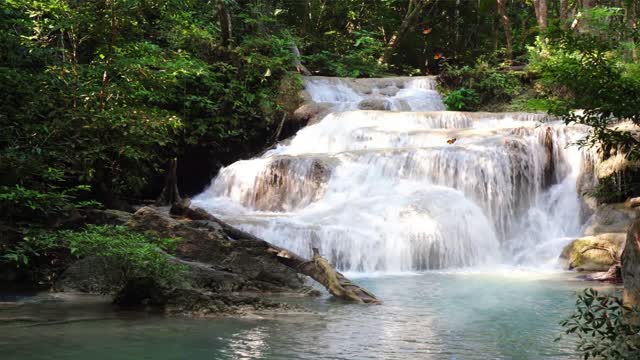 Butterfly Flying on Waterfall