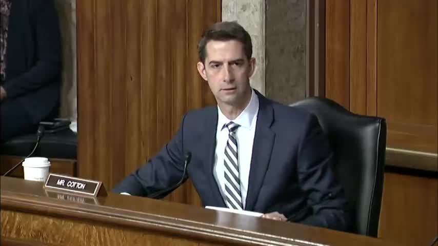 Senator Cotton Q&A During Senate Armed Services Committee Hearing