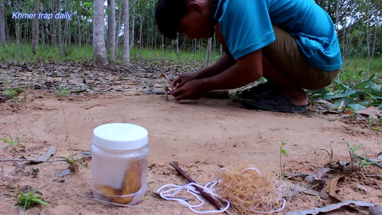 Simple Wild Cat Trap Using Nets - Traditional wild cat trap Work 100%