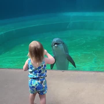 little girl talks to dolphin