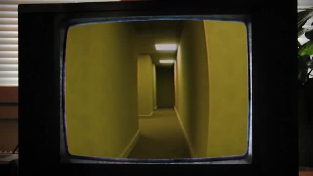 Film Theory . history of the back rooms