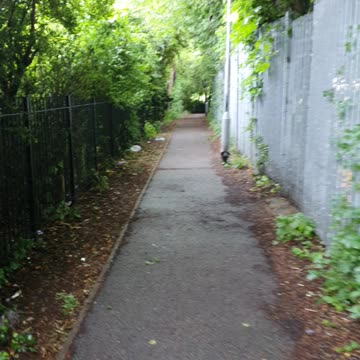 Foot path looks like a gungle