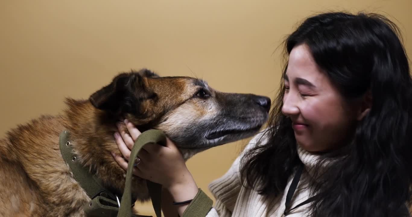 Close Up Of a Dog Licking a women