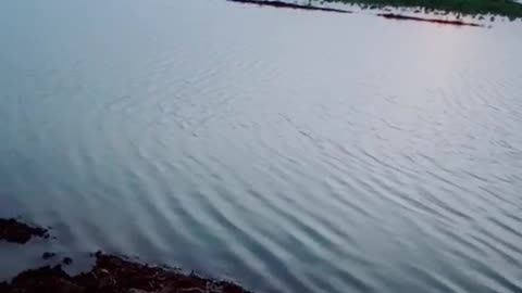 River Indus in Sindh Pakistan