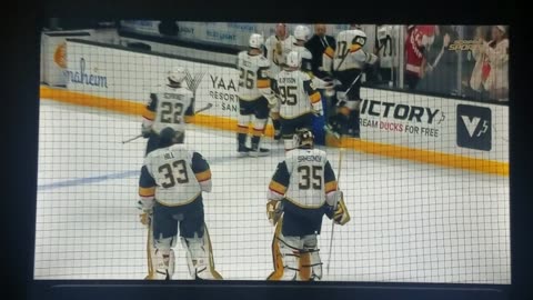 VGK vs ANA - Golden Knights Win 4-1
