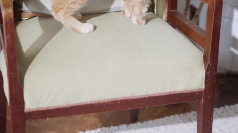Play a little