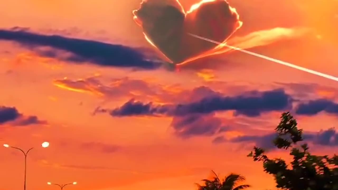 Beautiful Sunset Sight