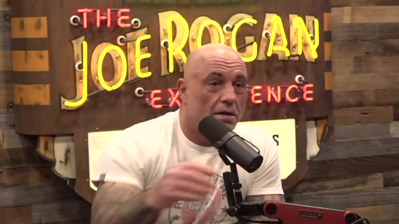 NEW: Elon Musk and Joe Rogan rip the Democratic party for spreading hoax after hoax