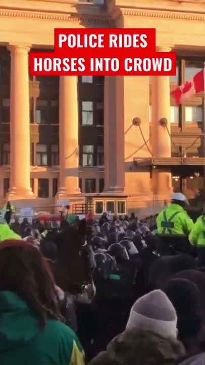 NOW: Dramatic Scenes in Ottawa, Police Rides Horses Into Crowd #freedomconvoy